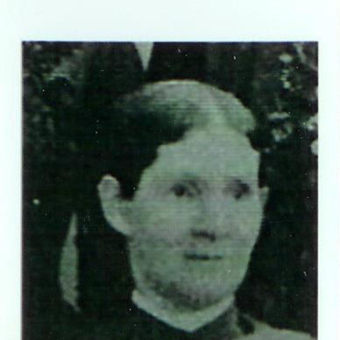 Sarah Ann Williams (1840 - 1917) Profile